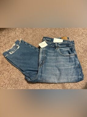 American Eagle Outfitters STRIGID Mom Jean- Denim Jeans